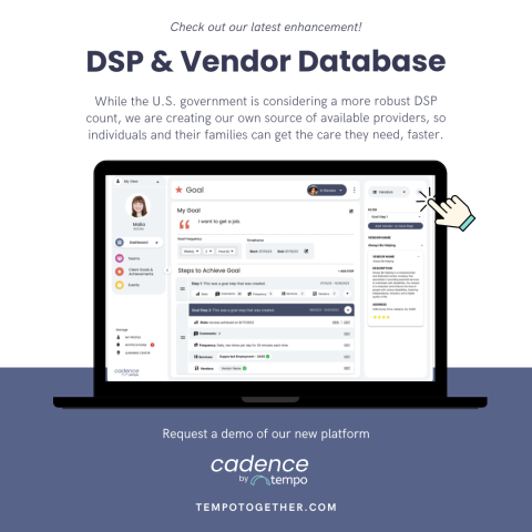 DSP Vendor Database Graphic